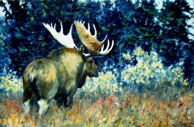 Midnight Moose, Alaska, oil on wood panel, 7&quot;x12&quot;