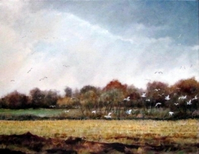 Gulls of Autumn, oil on canvas, 14"x18"
